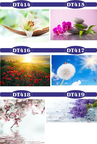 fototapety FOTOTAPETA na wymiar KWIAT kamienie SPA na Arena.pl