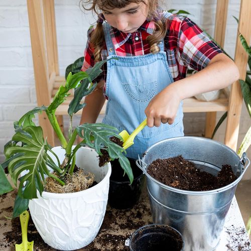 Bigos Ziemia Do Monster I Filodendronów, Gotowe Podłoże Do Roślin Zielonych na Arena.pl