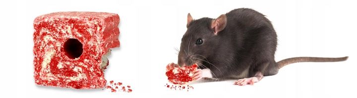 STRONG MOCNA TRUTKA NA MYSZY I SZCZURY KOSTKA WOSKOWA BROMADIOLON 3KG zdjęcie 2