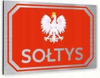 Tabliczka znak informacyjny 30x20 SOŁTYS Nierdzewna NADRUK UV Srebrna