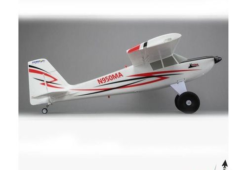 Timber BNF Basic na Arena.pl