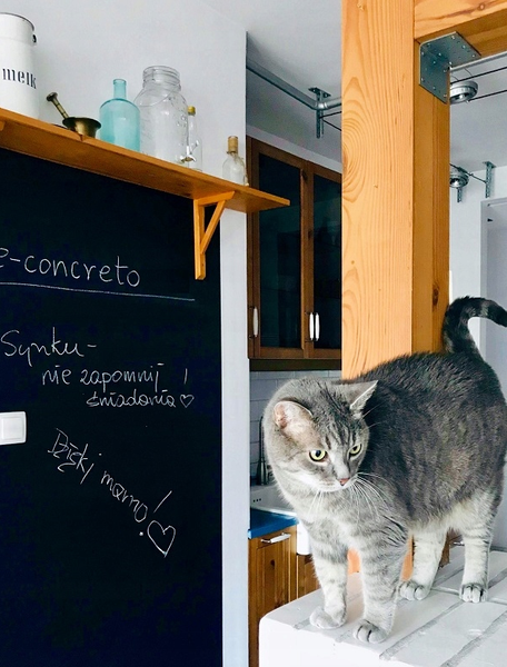 Farba Tablicowa + kreda! 1L - 100% krycia zdjęcie 2