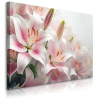 Obraz Canvas Do Salonu Sypialni Lilie Kwiaty Abstrakcja Natura 70cm x 50cm