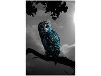 40X60CM BŁĘKITNA SOWA OBRAZ