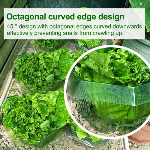 Kołnierze Przeciw Ślimakom 20 Sztuk 24x12 Ochrona Roślin Przezroczyste na Arena.pl