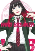 Wind Breaker. Tom 9