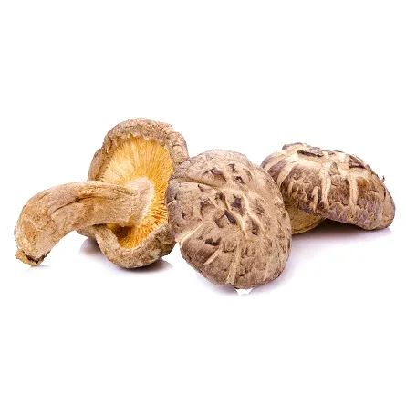 Grzyby shiitake suszone 50g - Asia Kitchen zdjęcie 2