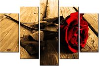 product-compare-58695950