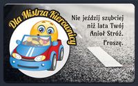 Magnes Dla Mistrza Kierownicy