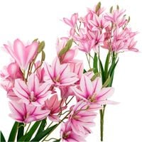 LILIA REALISTYCZNE KWIATY DUŻY BUKIET LILII GAŁĄZKI DEKORACYJNE LILIE