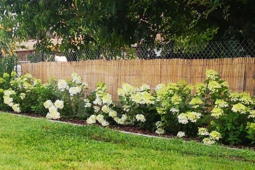 MATA BAMBUSOWA OSŁONOWA NA PŁOT OGRODZENIE OSŁONA NA BALKON BAMBUS na Arena.pl