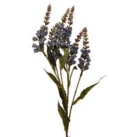 Konwalia jesienna niebieska