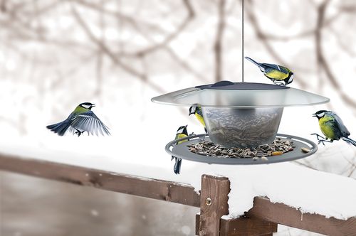 Karmnik okrągły dla ptaków Birdyfeed Budka Domek na zimę na Arena.pl