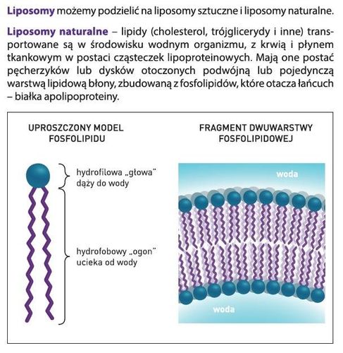 Liposomalna Witamina B COMPLEX 100% 250ml LIPOSOL ALINESS na Arena.pl