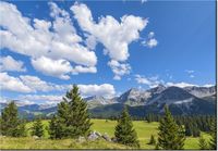 100 70CM OBRAZ PŁÓTNO WIDOK ALPY TAMBAKO THE JAGUAR PŁÓTNO RAMA