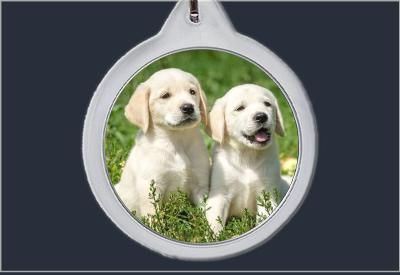 Brelok do kluczy Pieski zdjęcie 1