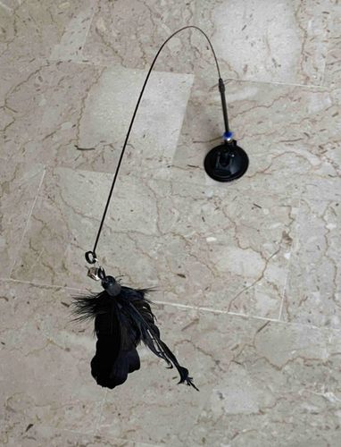 WĘDKA DLA KOTA z przyssawką ZABAWKA interaktywna czarne piórko6 na Arena.pl