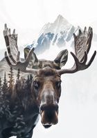 product-compare-59392900