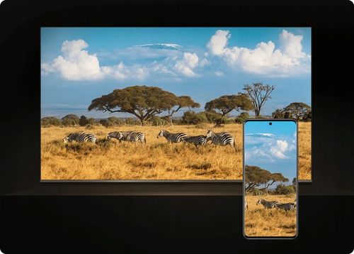 Odtwarzacz Google TV Xiaomi Mi TV Stick 4K 2nd Gen na Arena.pl