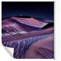 Fototapeta PUSTYNIA Nocą Wydmy Pejzaż do Salonu 450x300