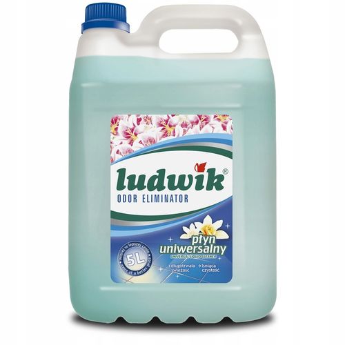 SKUTECZNY uniwersalny płyn czyszczący kwiat laguny LUDWIK 5L KONCENTRAT na Arena.pl