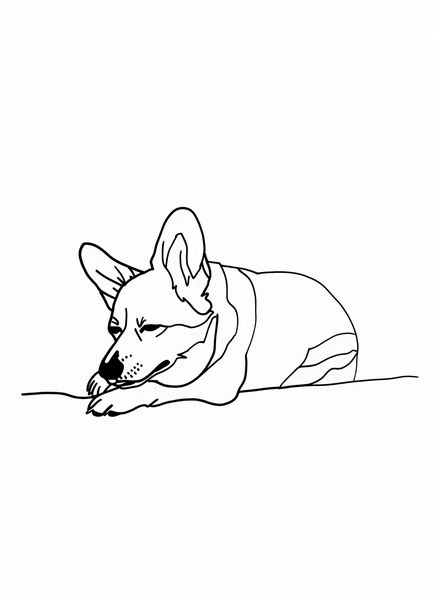Plakat 20,5x28,4cm Śpiący Corgacz zdjęcie 1