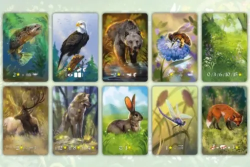 Ekosystem na Arena.pl