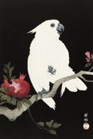 Plakat 40x60cm Cockatoo and Pomegranate 2, Koson Vintage do Salonu