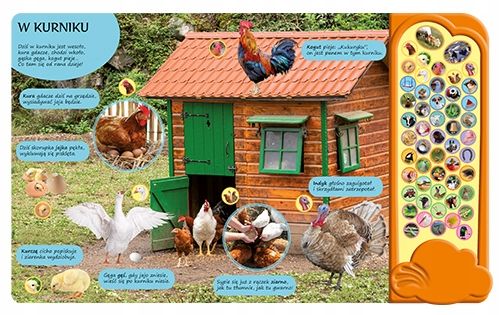 50 DŹWIĘKÓW NA WSI - ELŻBIETA KOROLKIEWICZ na Arena.pl