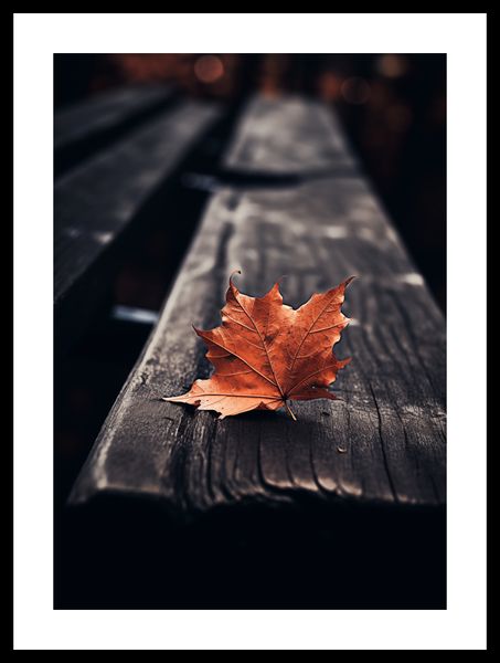 Plakat 29,7x42cm Pojedynczy Liść zdjęcie 3
