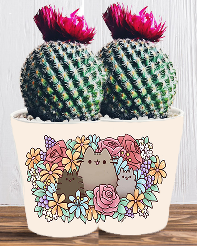 Doniczka do kwiatów/roślin - Pusheen - Kotek na Arena.pl