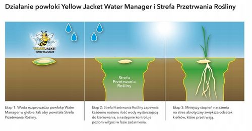 Trawa Barenbrug WATER SAVER 5kg NA SUCHE TERENY OTOCZKOWANE NASIONA na Arena.pl