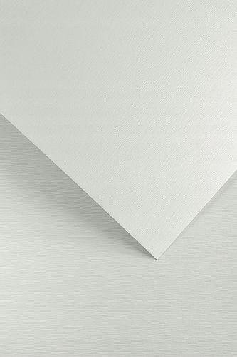 karton ozdobny kora biały a4 230g/m2 (20) 9319 na Arena.pl