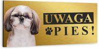 Tabliczka UWAGA ZŁY PIES SHIHTZU złota dibond