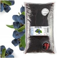 Sok z Jagody Kamczackiej Tłoczony na Zimno Tłocznia Szymanowice 2l NFC