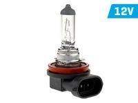 Żarówka VISION H11 12V 55W PGJ19-2 U E4