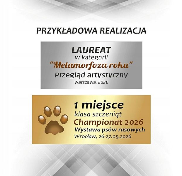 GRAW - Tabliczka MAŁA kolor zdjęcie 2