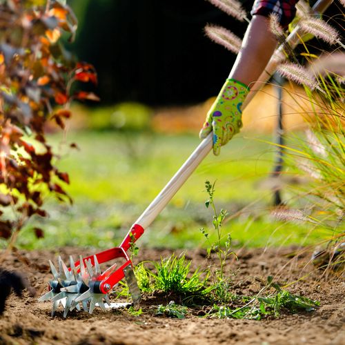 SPULCHNIACZ KULTYWATOR OBROTOWY Z PODCINACZEM na Arena.pl