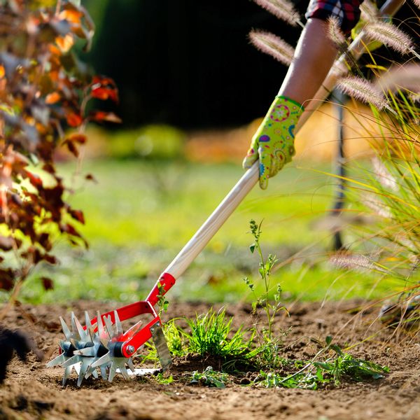 SPULCHNIACZ KULTYWATOR OBROTOWY Z PODCINACZEM zdjęcie 2