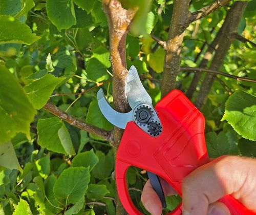 SEKATOR AKUMULATOROWY Ogrodowy Elektryczny Nożyce do Gałęzi Li-Ion 48V na Arena.pl