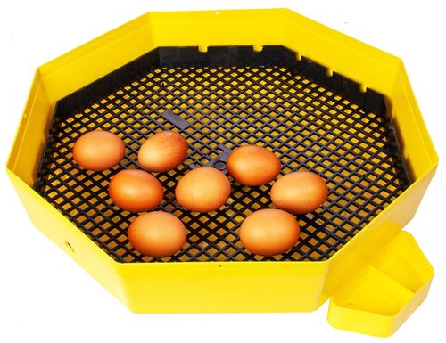 INKUBATOR 60 JAJ WYLĘGARKA KLUJNIK TERMOMETR HIGROMETR CLEO 5 DTHE na Arena.pl