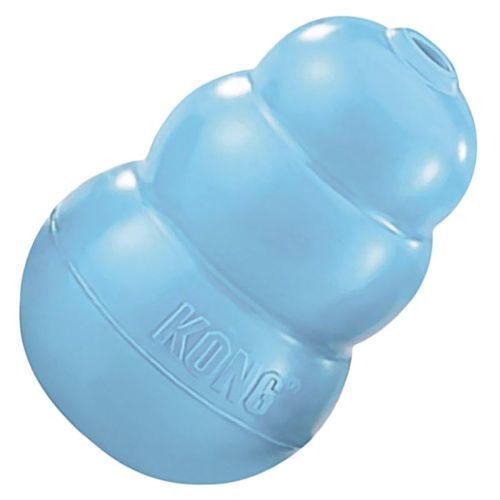 Kong Puppy M na Arena.pl