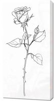 Obraz 50x100cm Kontur Róży