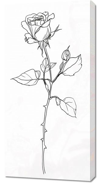 Obraz 50x100cm Kontur Róży zdjęcie 1