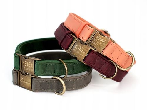 Grawerowana Obroża dla Psa Skórzana z Metalową Klamrą, Zielony kolor na Arena.pl