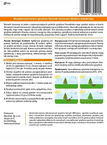 BOROWIK BRZOZOWY grzybnia grzyby leśne Mycelium na Arena.pl