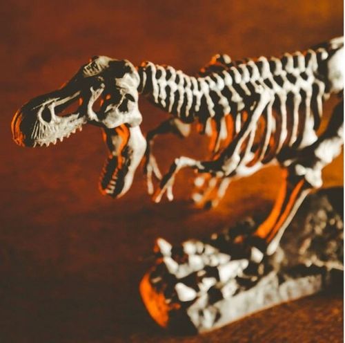 crazy science smoki i dinozaury 4141 na Arena.pl