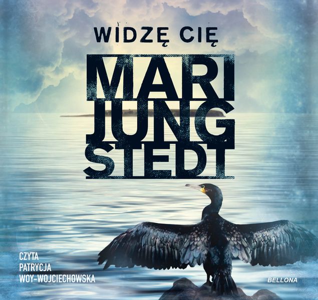 (mp3) Widzę cię zdjęcie 1