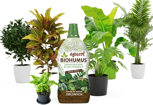 AGRECOL NAWÓZ DO MONSTERY BANANOWCA FILODENDRONA ZIELISTKI FIKUSA KROTONA na Arena.pl