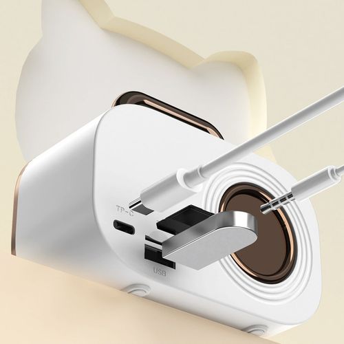 BEZPRZEWODOWY ZESTAW DO KARAOKE DLA DZIECI GŁOŚNIK BLUETOOTH + 2 MIKROFONY na Arena.pl